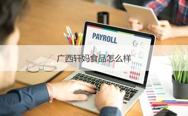 廣(guang)西(xi)軒(xuan)媽食品(pin)公(gong)司(si)概(gai)覽(lan) 工(gong)作(zuo)時(shi)間(jian)、發(fa)展與計算(suan)機軟(ruan)硬件(jian)業務(wu)